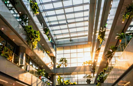 From Startup to Enterprise: How to Scale Without Losing Your Agility